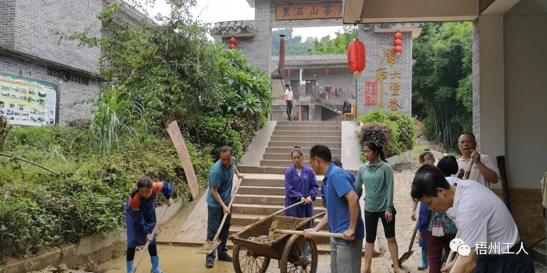 工會為六堡鎮(zhèn)茶農(nóng)災(zāi)后恢復(fù)生產(chǎn)注入活力