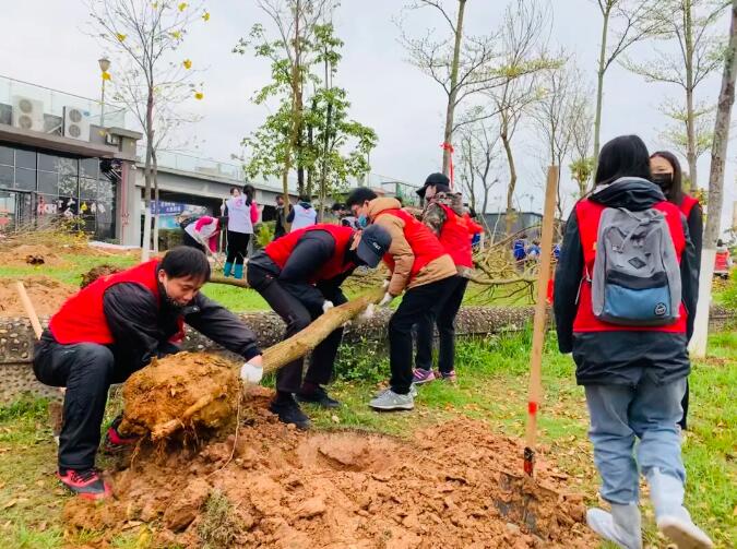 梧州市總工會(huì)組織開(kāi)展2020年造林綠化志愿服務(wù)活動(dòng)
