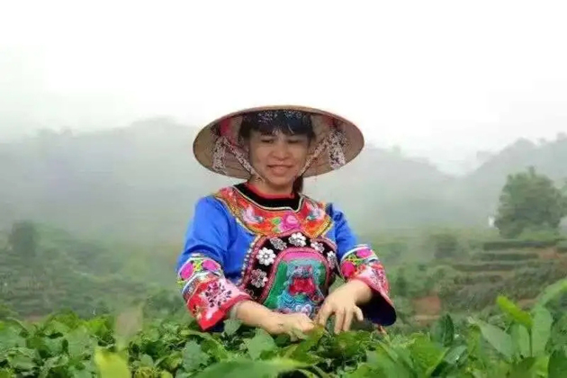 【梧州工匠】劉錦芳：鉆研和創(chuàng)新，帶領(lǐng)鄉(xiāng)親發(fā)家致富