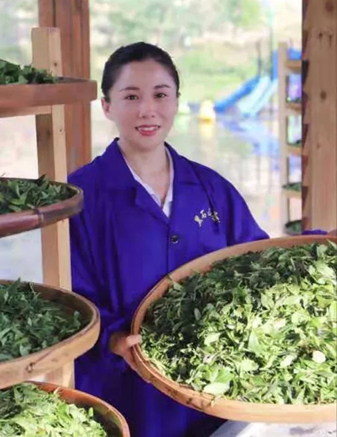 【梧州工匠】石濡菲：擇一茶，修一技，終一生