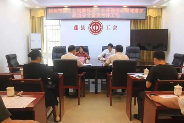梧州市總工會(huì)領(lǐng)導(dǎo)到藤縣開(kāi)展勞動(dòng)領(lǐng)域維護(hù)政治安全督查考評(píng)工作