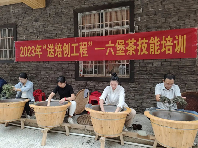 送培創(chuàng)到村屯 助就業(yè)添動力丨廣西梧州市六堡茶工匠學院六堡茶技能培訓班成功舉辦
