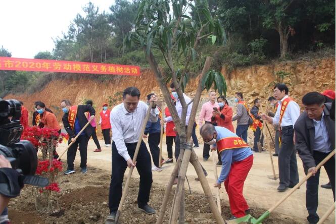 植樹造林，這群楷模這樣做