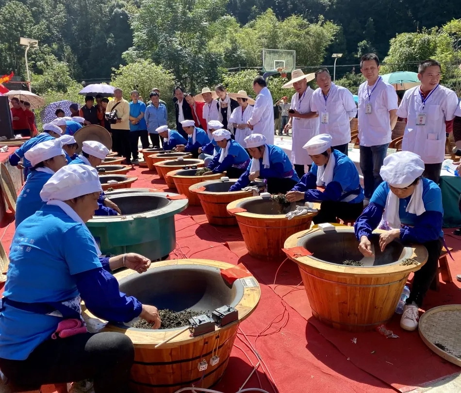 蒼梧縣總工會舉辦2020年村級傳統(tǒng)六堡茶制茶大賽