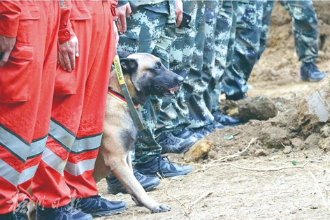 消防、武警、摩托車運輸隊等多方力量聯(lián)合搜救｜東航客機墜毀事故救援現(xiàn)場直擊