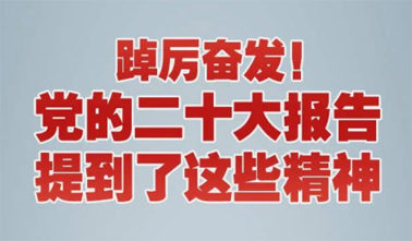 【黨的二十大】踔厲奮發(fā)！黨的二十大報告提到了這些精神