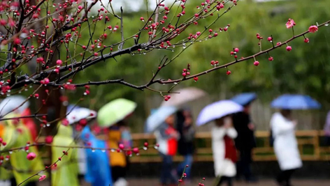 今日雨水！別忘了咱的老講究！