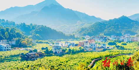 排名全國(guó)第13名！“梧州六堡茶”品牌價(jià)值實(shí)現(xiàn)新突破