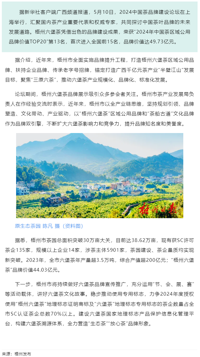 排名全國第13名！&ldquo;梧州六堡茶&rdquo;品牌價值實現(xiàn)新突破.png