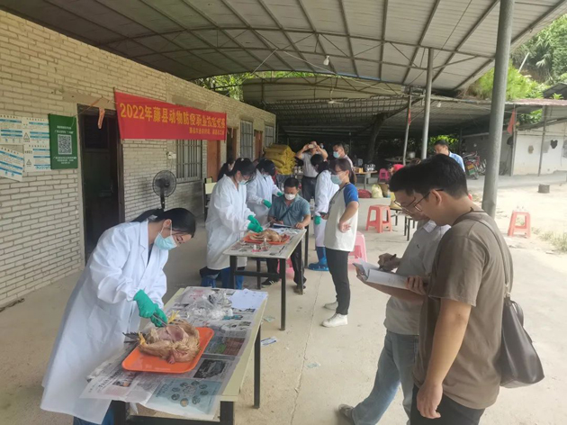 藤縣總工會(huì)舉辦首屆動(dòng)物防疫職業(yè)技能競(jìng)賽活動(dòng)