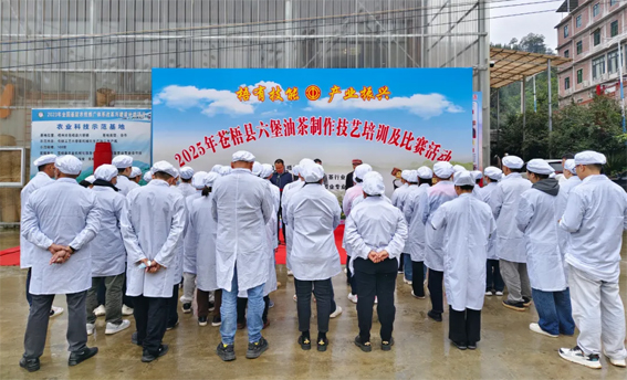 2025年蒼梧縣六堡油茶制作技藝培訓(xùn)及比賽活動(dòng)圓滿落幕！