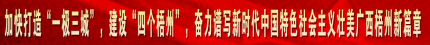 加快打造“一級(jí)三城市”，建設(shè)“四個(gè)梧州”，奮力譜寫(xiě)新時(shí)代中國(guó)特色社會(huì)主義壯美廣西梧州新篇章