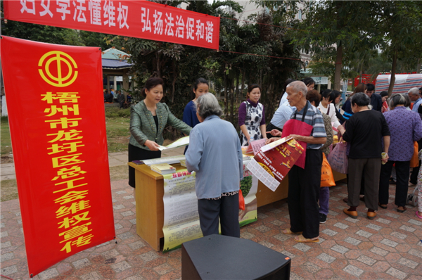龍圩區(qū)總開展迎“三八”婦女維權(quán)月普法活動