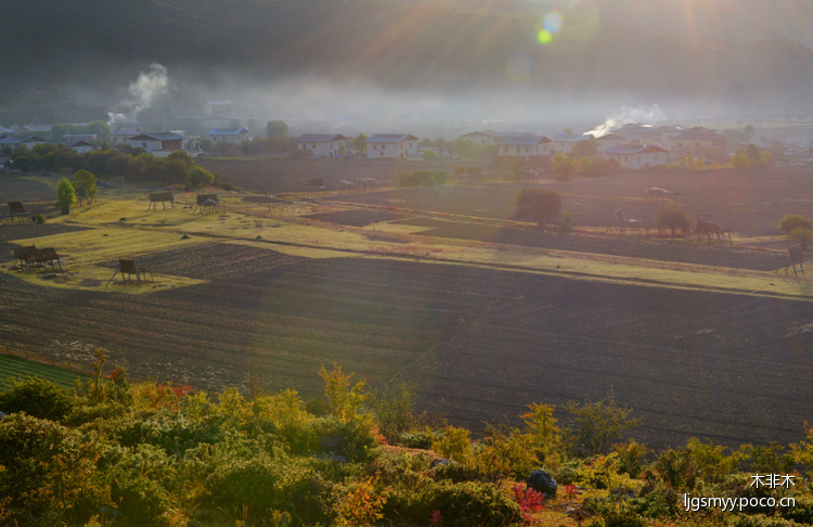 夢(mèng)中的香格里拉